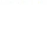 Absurd Minds - Live:  